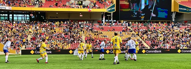 来类似的效 来类似的效