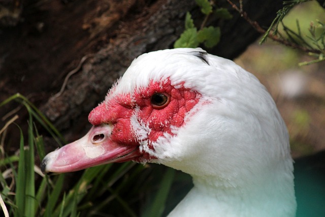 进攻和坚固 进攻和坚固