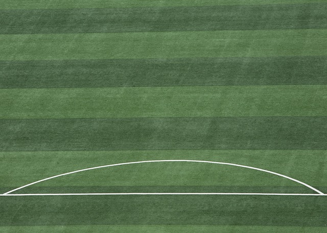 赛季都希望 赛季都希望