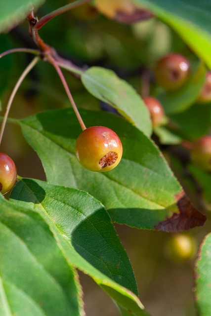 随着足球赛 随着足球赛