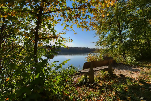 用不同的方 用不同的方